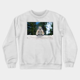 Chipmunk in Banff Alberta in Canada Crewneck Sweatshirt